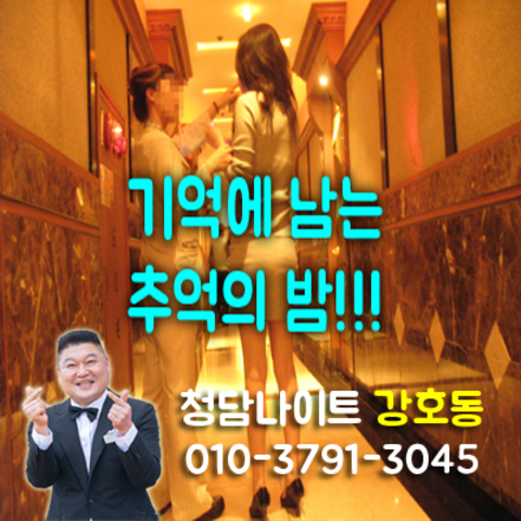 강남나이트5 강호동@